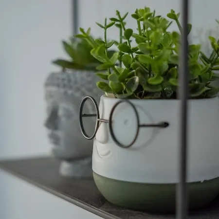 Blloku Area Modern App - The Nest Daire Tiran
